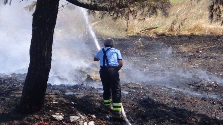 İstanbul - Tekirdağ Yolundaki Ağaçlık Alanda Büyük Yangın