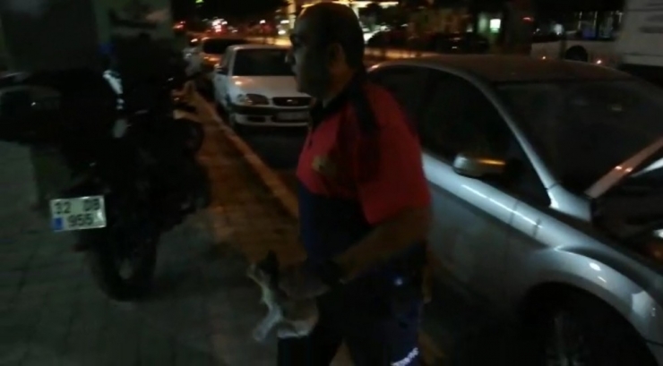 Isparta’da Yavru Kedi Kurtarma Operasyonu