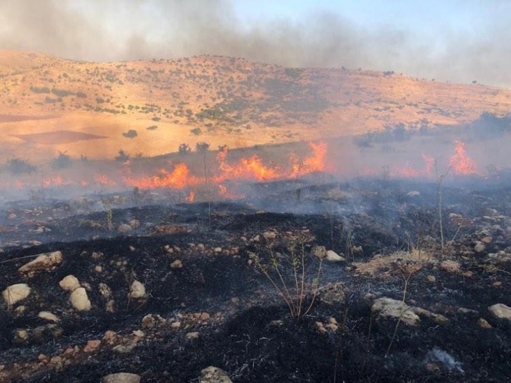 Mazıdağı’nda Çıkan Yangında 300 Dönüm Ağaçlık Alan Kül Oldu