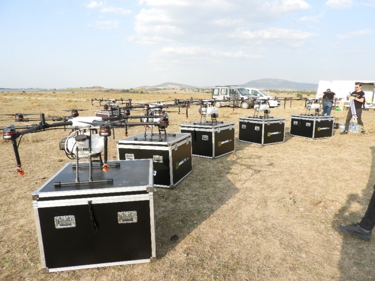 Edirne’de Drone İle İlaçlama Dönemi Başladı