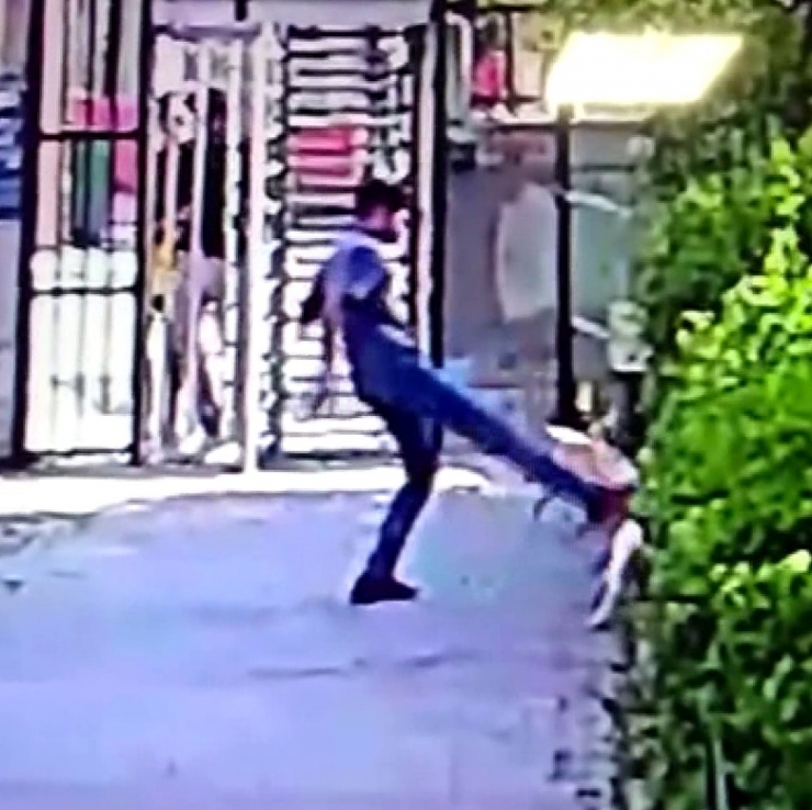 Küçükçekmece’de Pitbull Dehşeti