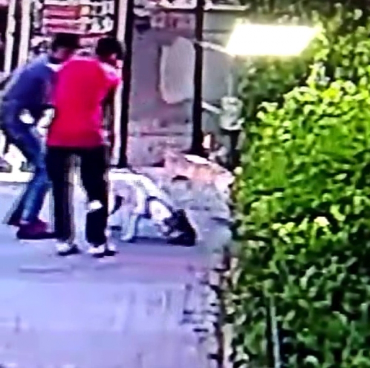 Küçükçekmece’de Pitbull Dehşeti