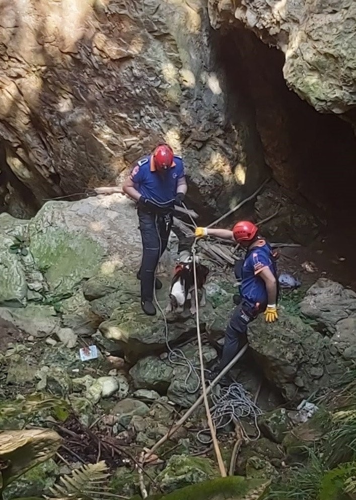 Mahsur Kalan Köpeği Böyle Kurtardılar