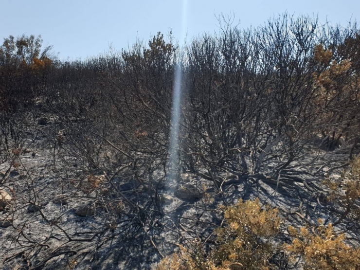 Makilik Alanı Ateşe Veren Şahsı Doğa Koruma Ekipleri Yakaladı