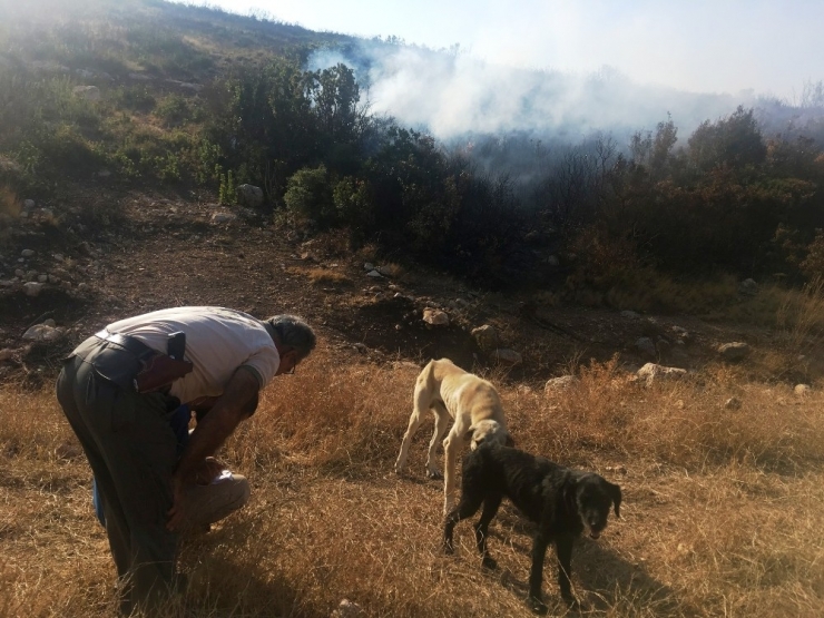 Makilik Alanı Ateşe Veren Şahsı Doğa Koruma Ekipleri Yakaladı