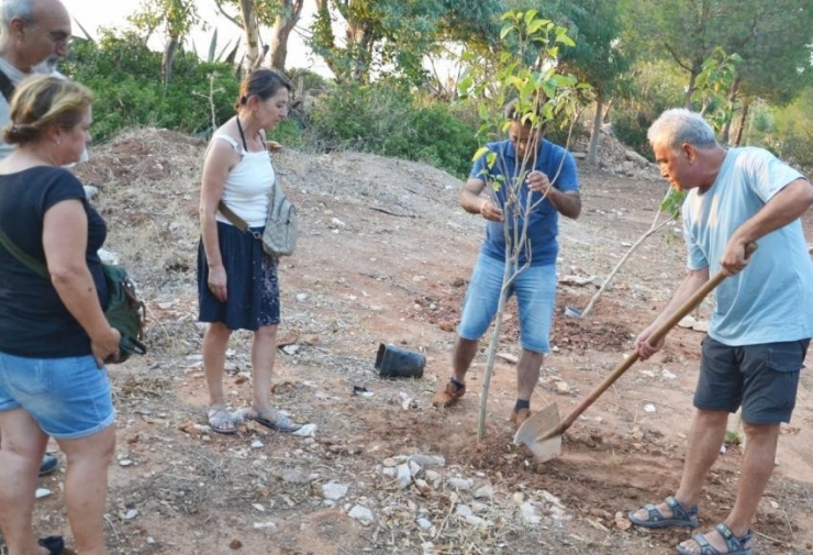 Spor Ve Yelken Kulübü Kurucusu Anısına Fidan Dikildi