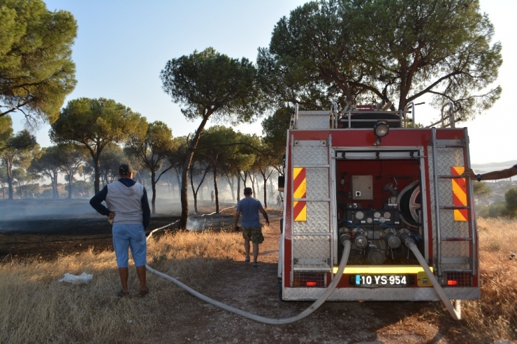 Sigara İzmariti Ormanı Yaktı