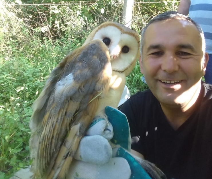 İpe Dolanan Peçeli Baykuş Kurtarıldı
