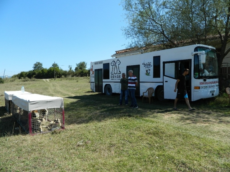 Bilecik’te Başıboş Köpeklere Sağlık Kontrolü Ve Aşılama Yapıldı