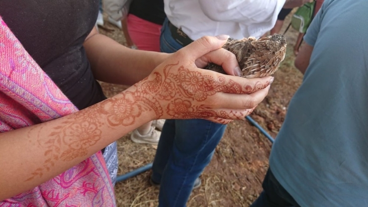 Diyarbakır’da 130 Bıldırcın Doğaya Salındı