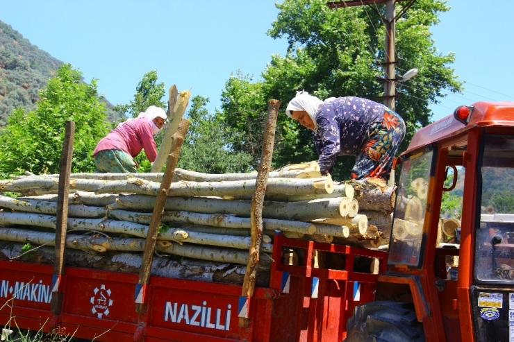 Aydın’daki Keresteci Kadınların Ekmek Mücadelesi