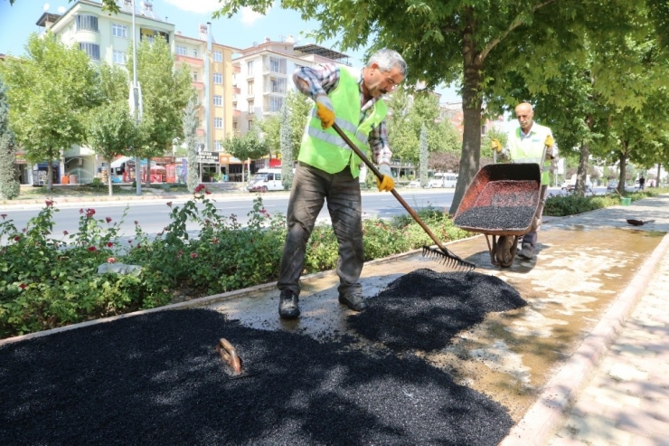 Elazığ’da Yürüyüş Yollarında Yenileme Çalışması