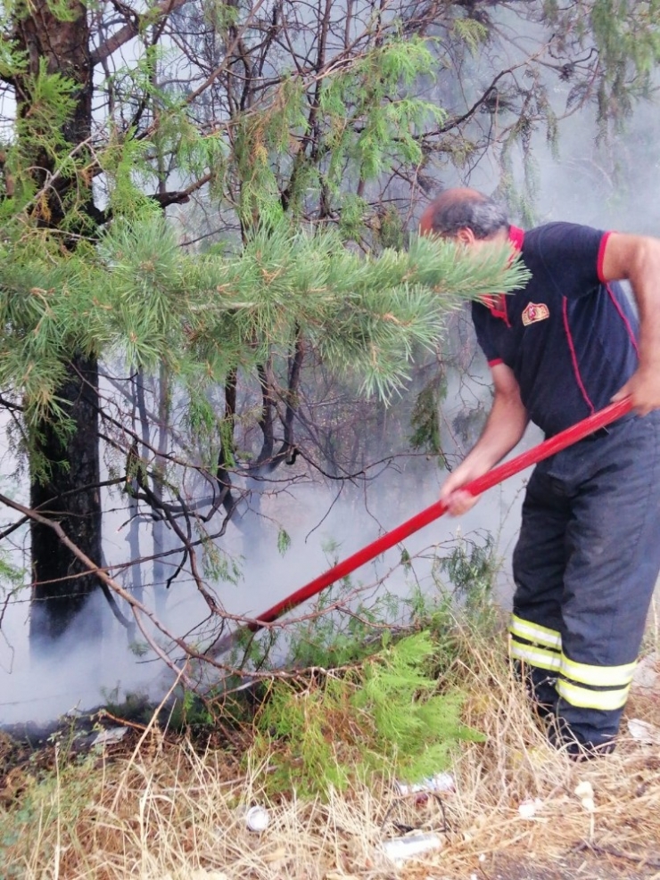 Erzincan’da Yıldırım Düşmesi Sonucu Arazide Yangın Çıktı