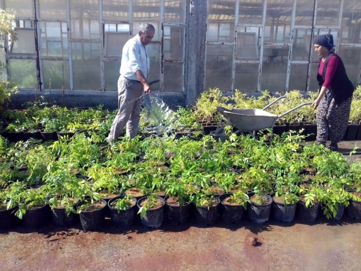 Kilis’te Çiçeklendirme Çalışmaları