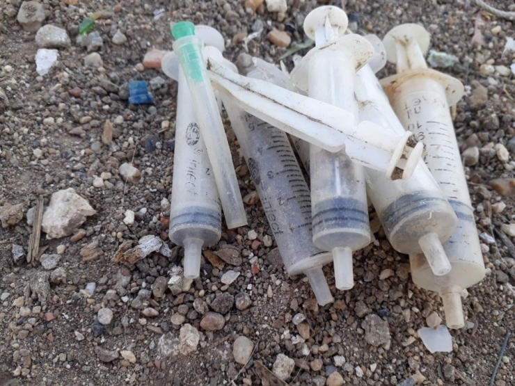 Lüleburgaz’da 300 Köpeğin Kaybolduğu İddiası