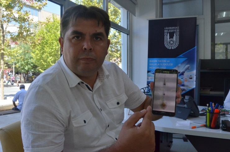 Lüleburgaz’da 300 Köpeğin Kaybolduğu İddiası