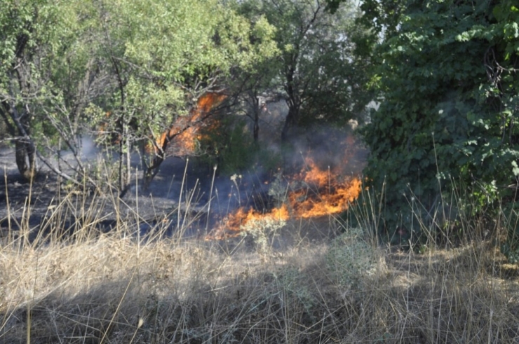 Seydişehir’de Yangın
