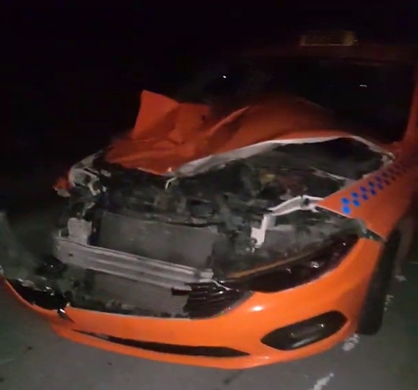 İstanbul Havalimanı Yolunda Taksinin Çarptığı Manda Telef Oldu