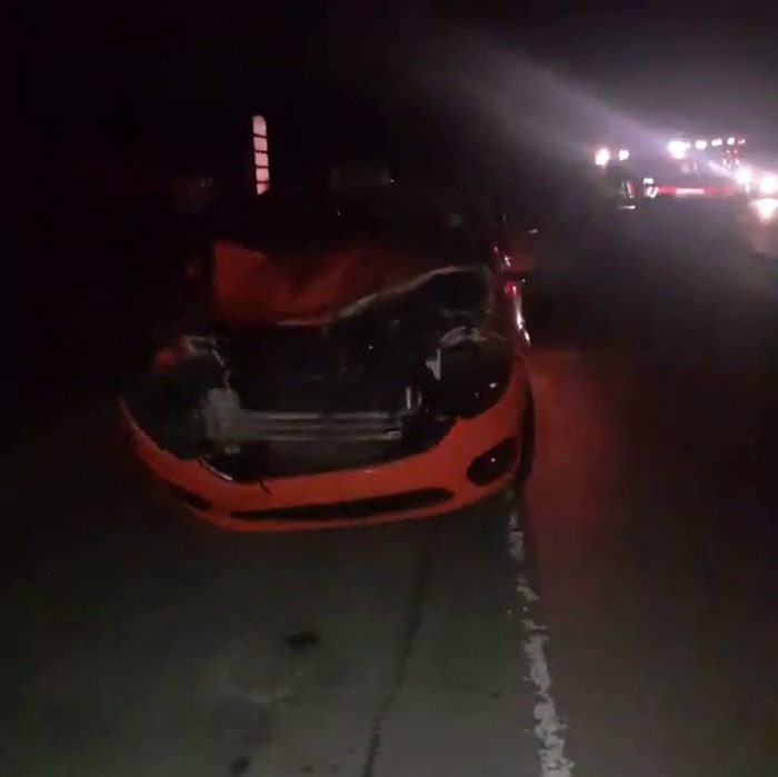 İstanbul Havalimanı Yolunda Taksinin Çarptığı Manda Telef Oldu