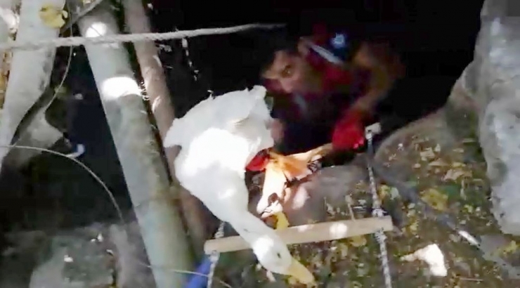 İtfaiyeden Kaz Kurtarma Operasyonu