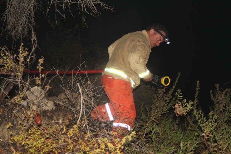 Alanya’da Çalılık Alanda Yangın Paniği