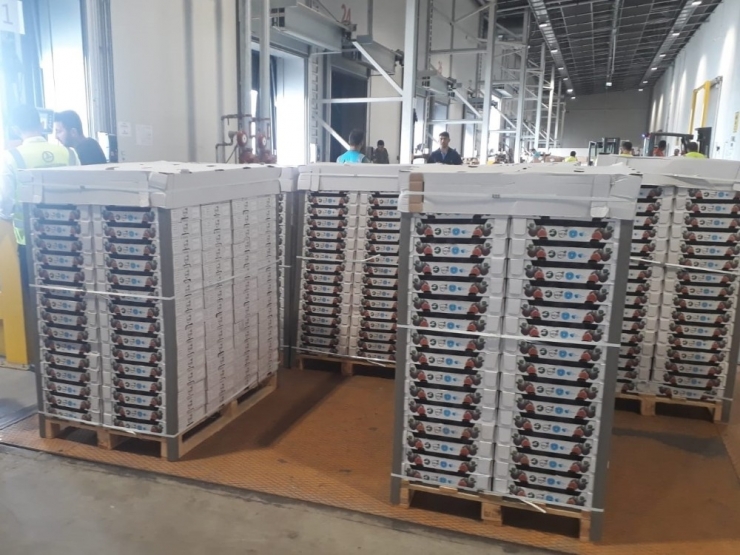 Siyah İncirde Büyükşehir Devreye Girdi, Üreticinin Yüzü Güldü