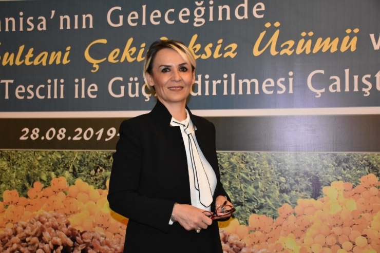 Manisa Çekirdeksiz Sultani Üzümü, Ab Tescili Yolunda