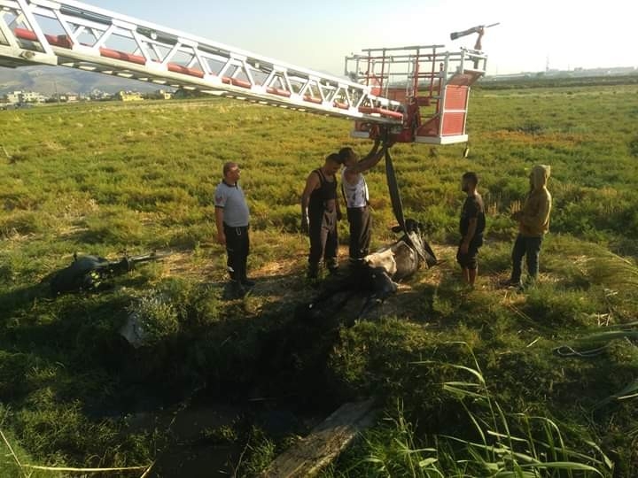 Kanala Düşen İneği Telef Olmaktan İtfaiye Kurtardı