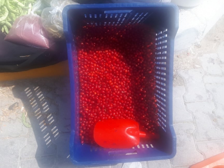 Şifa Kaynağı Kızılcık Pazar Tezgahında