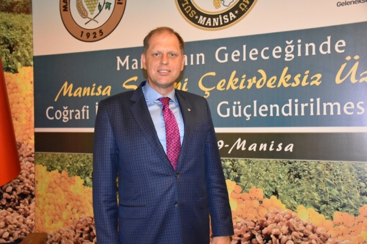 Manisa Çekirdeksiz Sultani Üzümü, Ab Tescili Yolunda