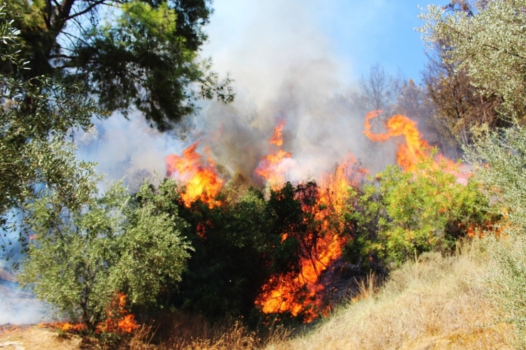 Antalya’da Antik Kent Yakınında Orman Yangını