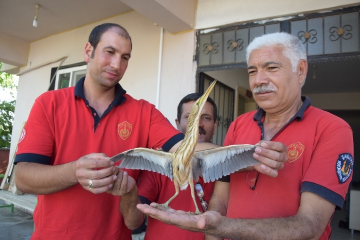 Viranşehir’de ’Balık Kuşu’ İtfaiyeye Emanet