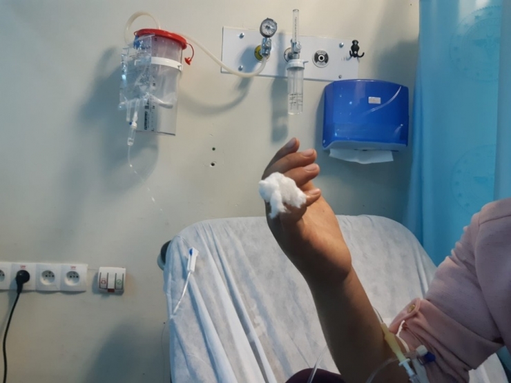 Siirt’te Genç Kızı Yılan Isırdı