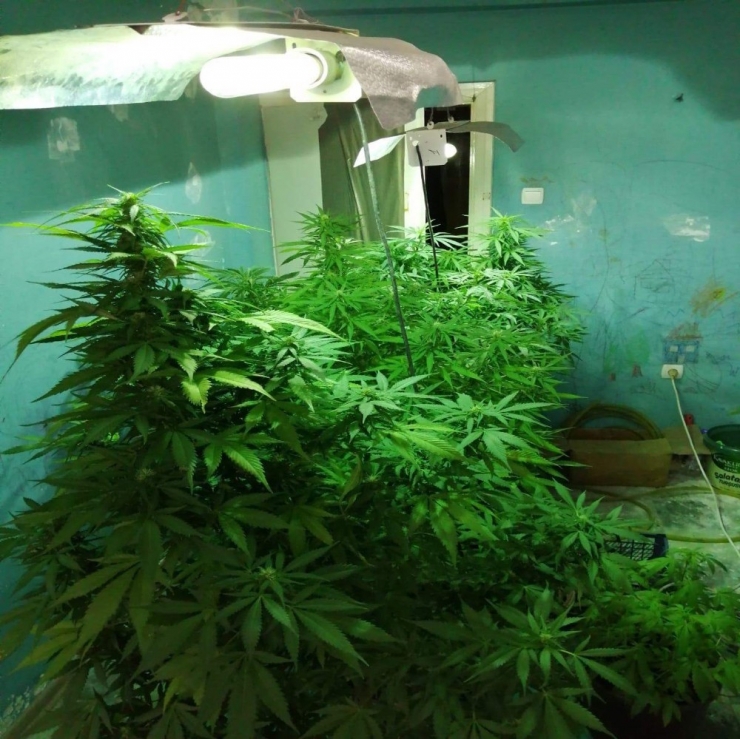 Uyuşturucu İçin Kurulan Sistem Polisi Bile Şaşırttı