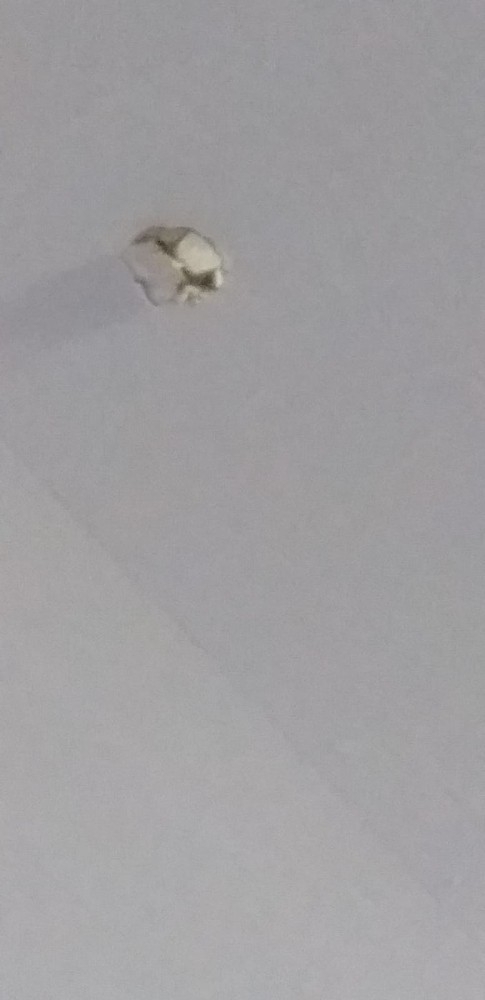 Su İçmek İçin Mutfağa Gitti, Maganda Kurşunundan Kıl Payı Kurtuldu