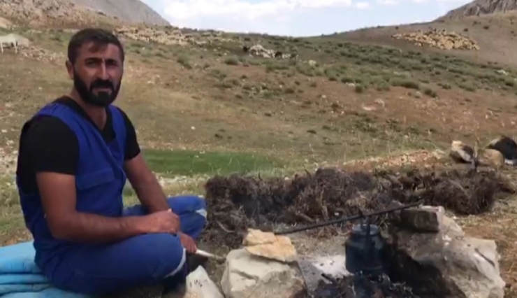 Belinden Sakat Dağ Keçisine Eliyle Su İçirdi