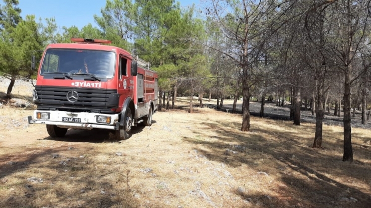 Karadağ Ormanlık Alanda Yangın Paniği