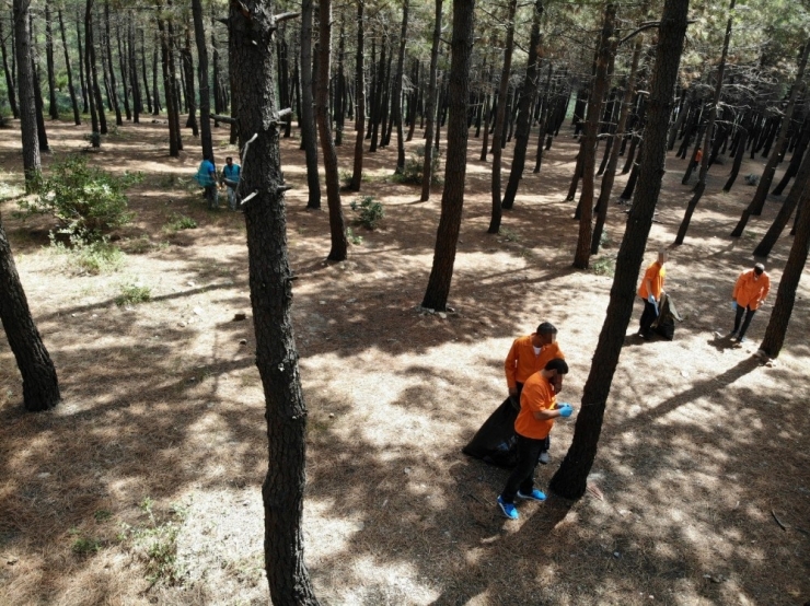 Aydos Ormanı’nda Denetimli Serbestlik Yükümlüleri Çevre Temizliği Yaptı