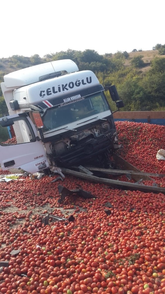 Tonlarca Domates Yola Saçıldı