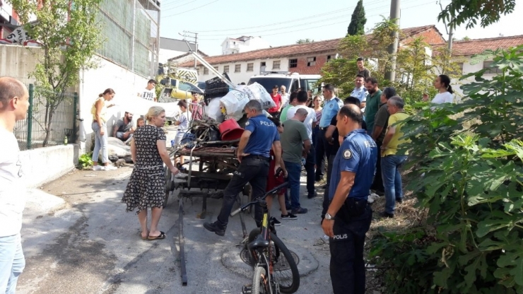 Yaralı Atı Sahibinin Elinden İzne Gelen Jöh Personeli Kurtardı