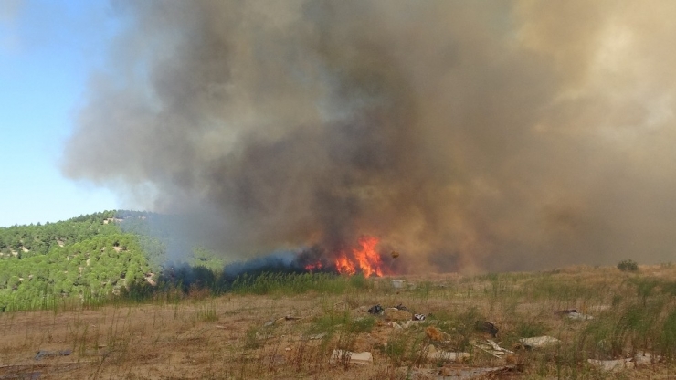 Çanakkale’deki Yangın Kontrol Altına Alındı