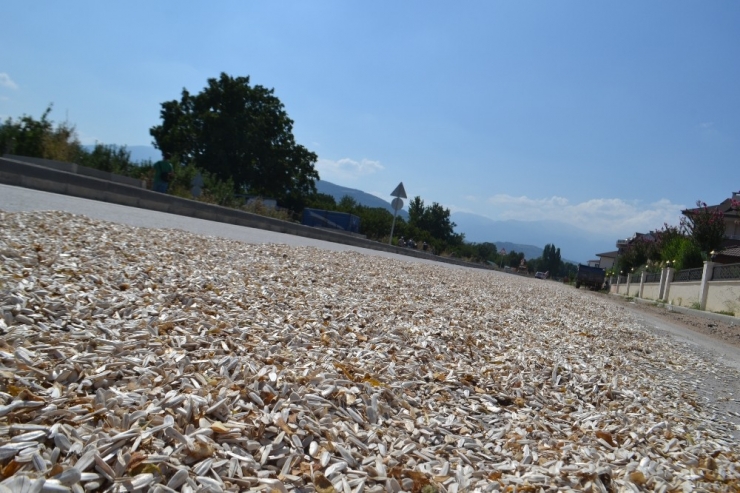 Çevre Yolunda İlginç Görüntü