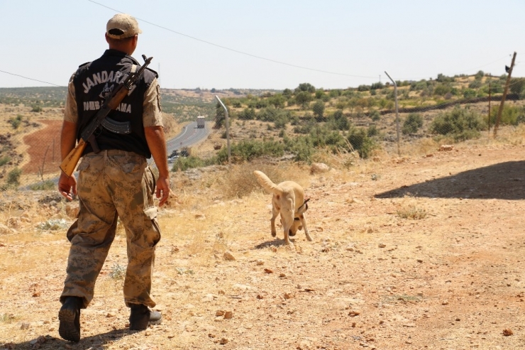 Onlar Kıran-2 Operasyonunda Teröristlerin Korkulu Rüyası