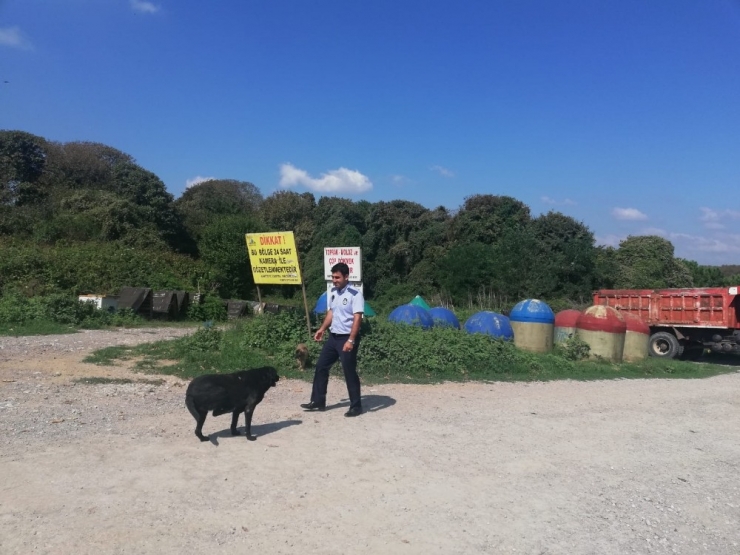 Kartepe’de Sokak Hayvanları Yalnız Değil