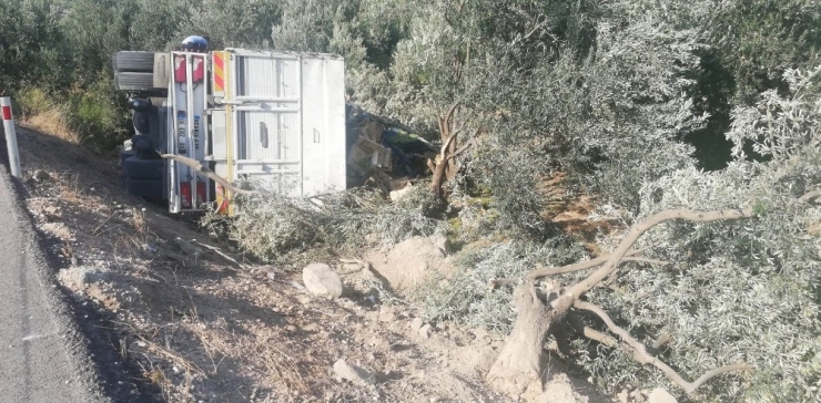 Mersin’de Üzüm Yüklü Kamyon Devrildi: 1 Yaralı