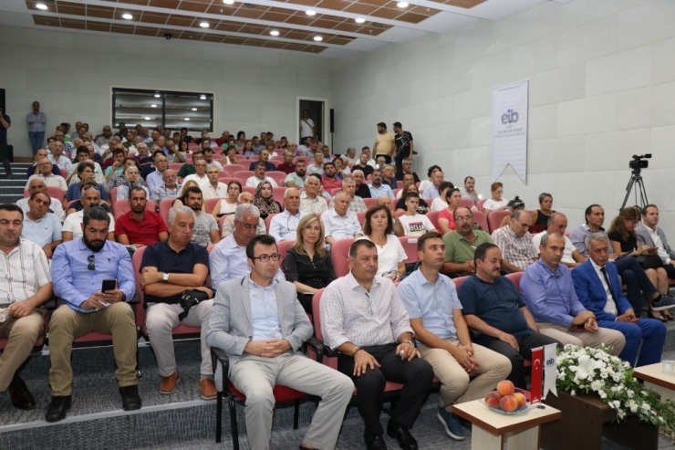 Narenciye İhracatında Beklenti 900 Milyon Dolar