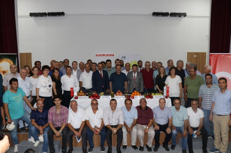 Narenciye İhracatında Beklenti 900 Milyon Dolar