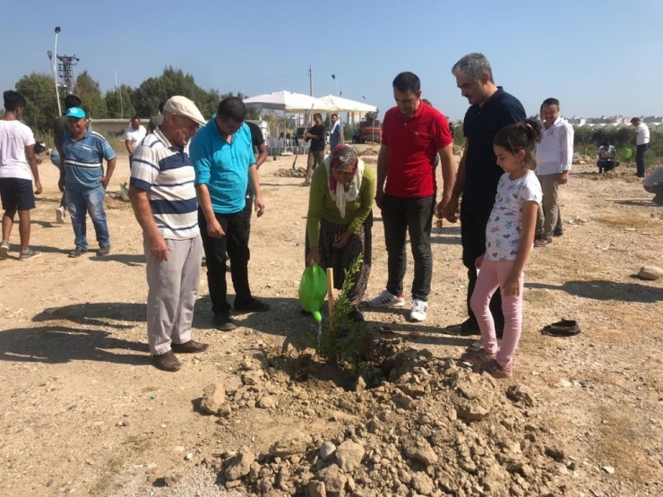 Silifke’de Şehitler İçin Fidan Dikildi