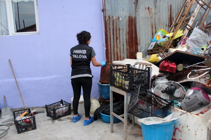 Yalova Polisinden Şafak Baskını