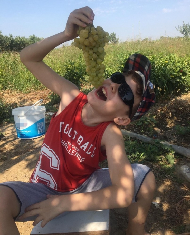 Boy Uzatan, Okul Başarısını Artıran Meyve: Üzüm